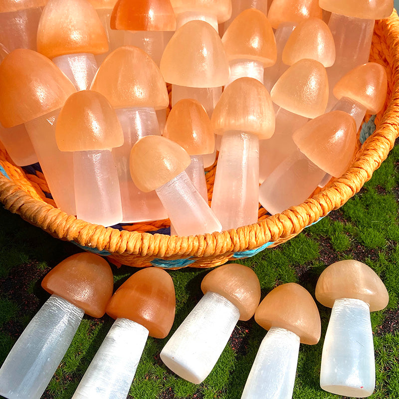 Beautiful Selenite Mushroom