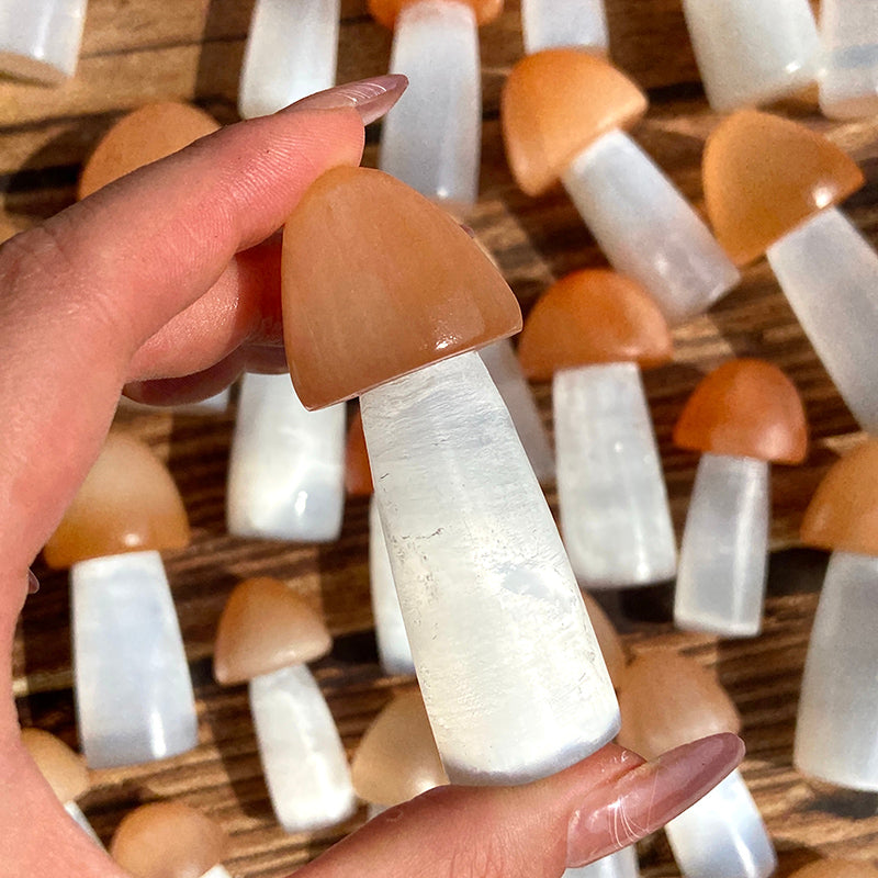 Beautiful Selenite Mushroom