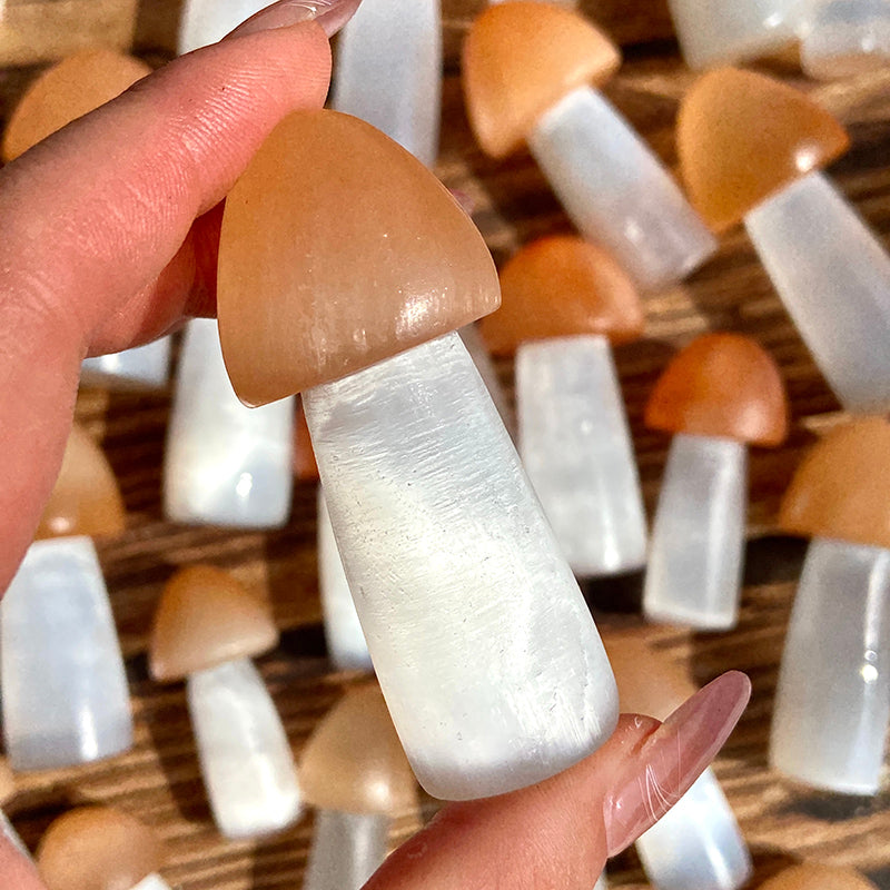 Beautiful Selenite Mushroom