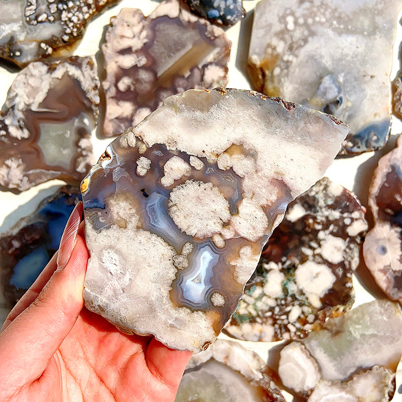 Beautiful Black Flower Agate Slab