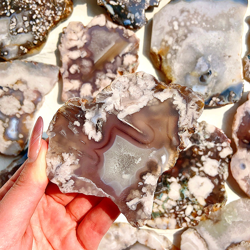 Beautiful Black Flower Agate Slab