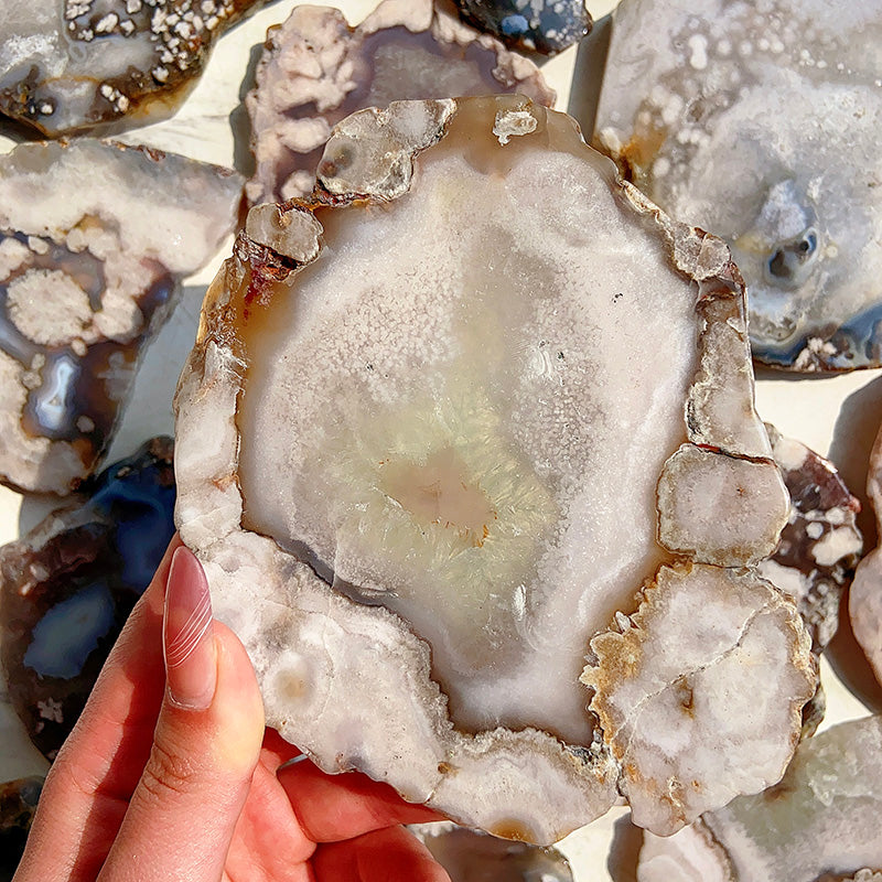 Beautiful Black Flower Agate Slab