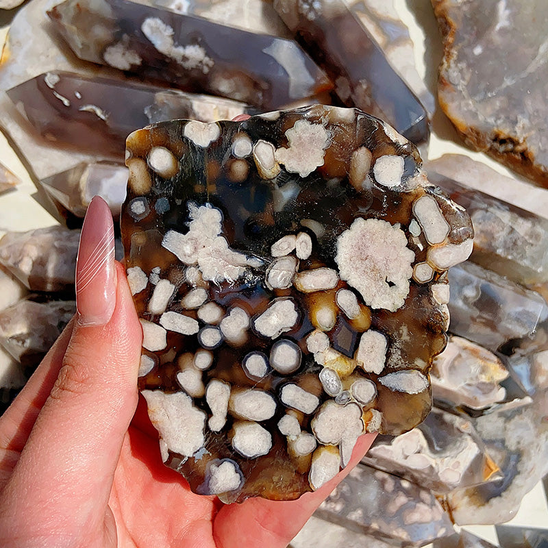 Beautiful Black Flower Agate Slab