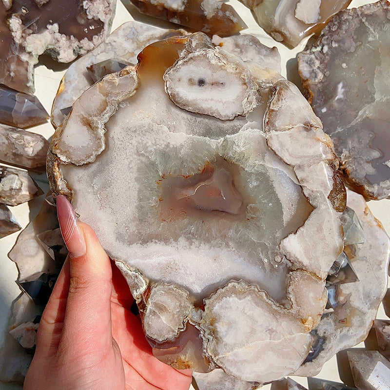 Beautiful Black Flower Agate Slab