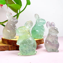 Load image into Gallery viewer, Fluorite Bunny Bottle Carvings