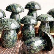 Load image into Gallery viewer, Kambaba Jasper Mushroom Shape