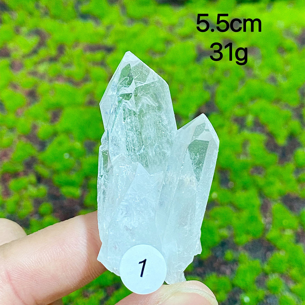 Clear Quartz Natural Crystal  Cluster