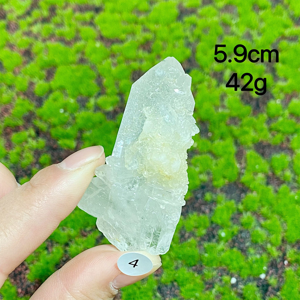 Clear Quartz Natural Crystal  Cluster