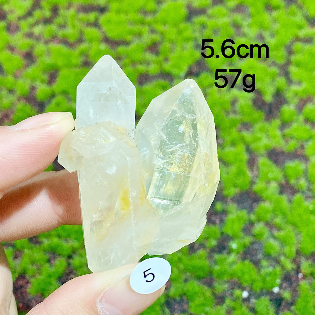 Clear Quartz Natural Crystal  Cluster