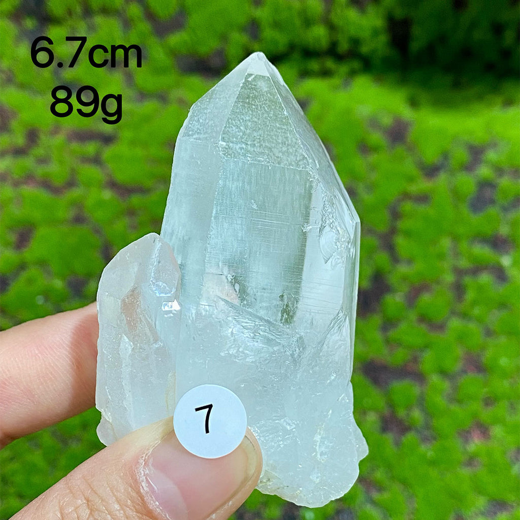 Clear Quartz Natural Crystal  Cluster