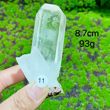 Load image into Gallery viewer, Clear Quartz Natural Crystal  Cluster