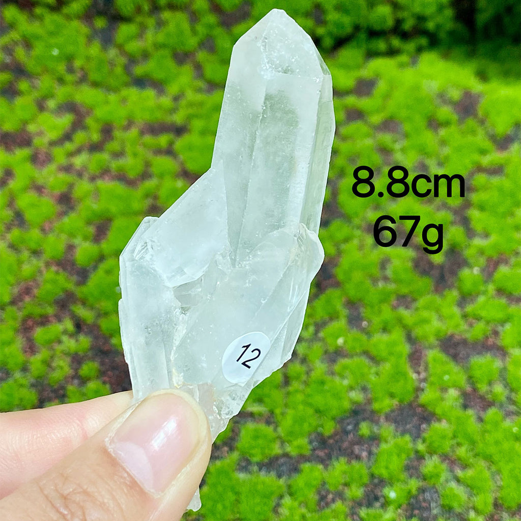 Clear Quartz Natural Crystal  Cluster