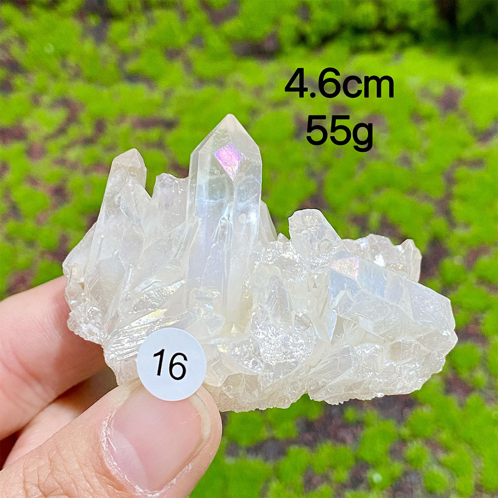 Clear Quartz Natural Crystal  Cluster