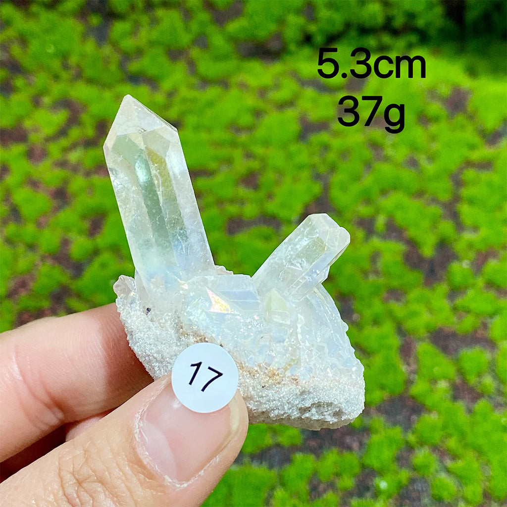 Clear Quartz Natural Crystal  Cluster