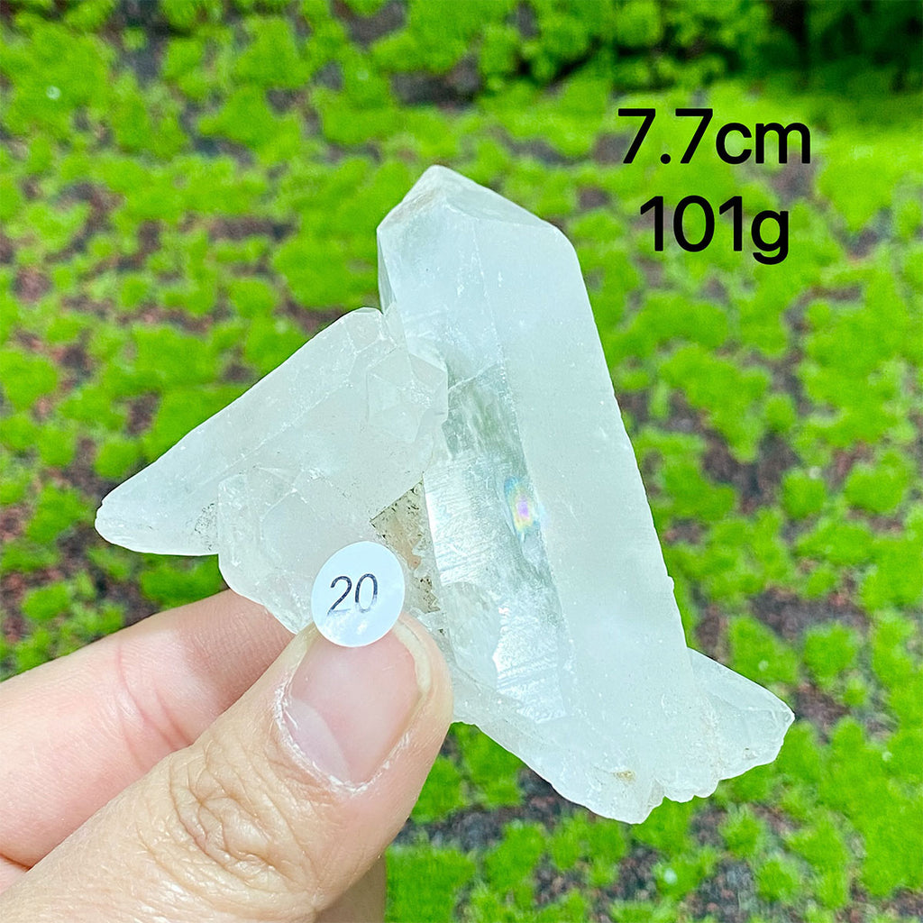 Clear Quartz Natural Crystal  Cluster