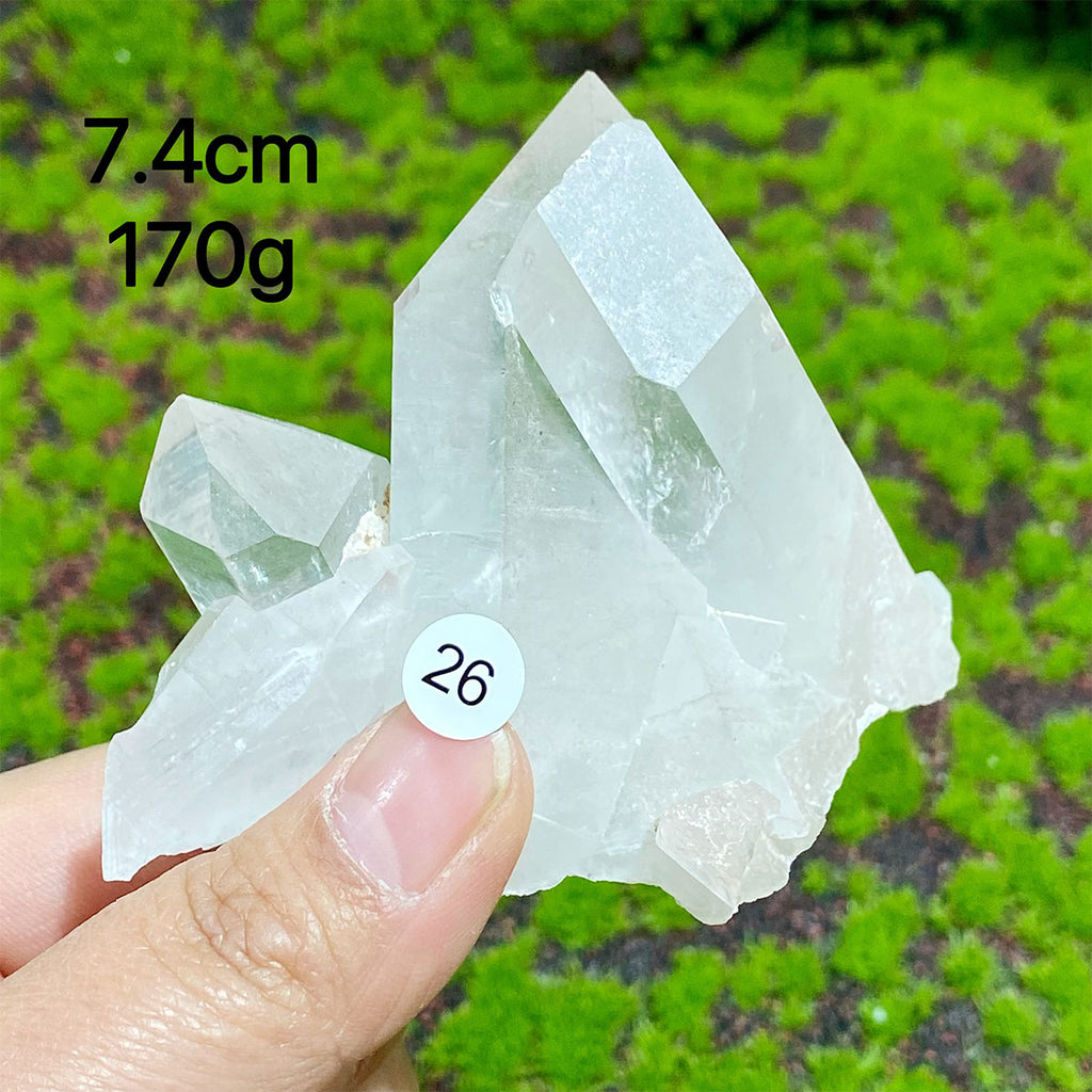 Clear Quartz Natural Crystal  Cluster