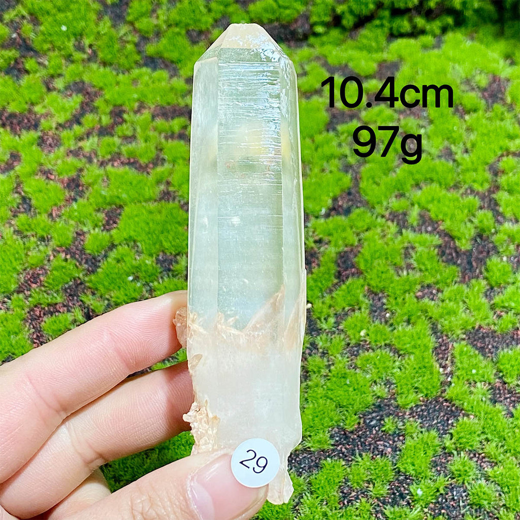 Clear Quartz Natural Crystal  Cluster