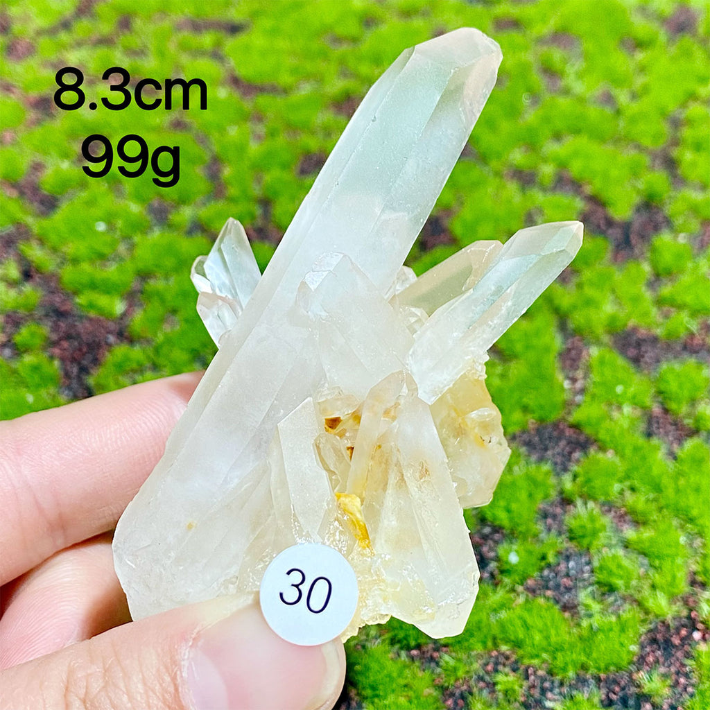 Clear Quartz Natural Crystal  Cluster