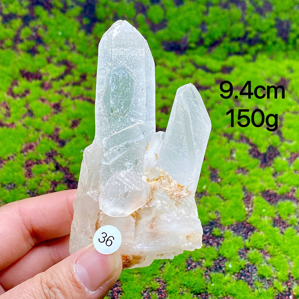 Clear Quartz Natural Crystal  Cluster