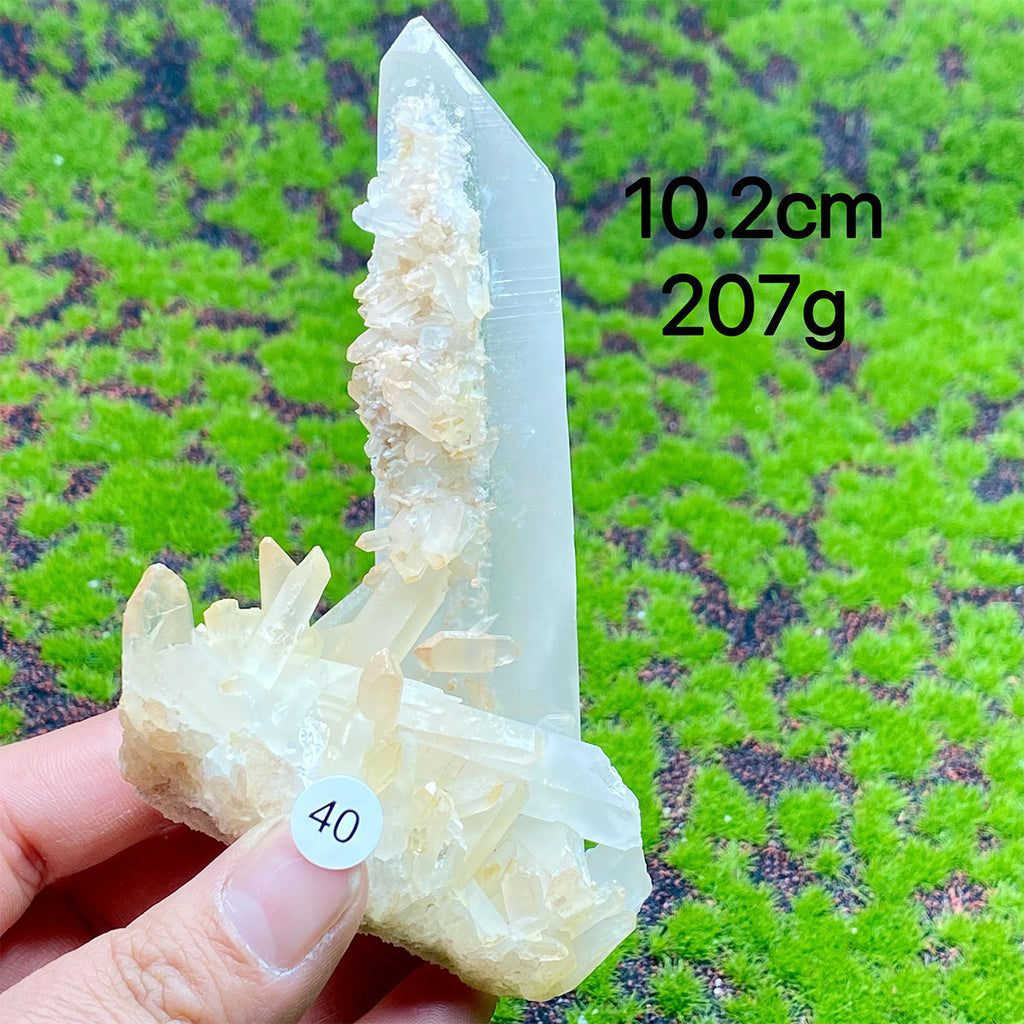 Clear Quartz Natural Crystal  Cluster