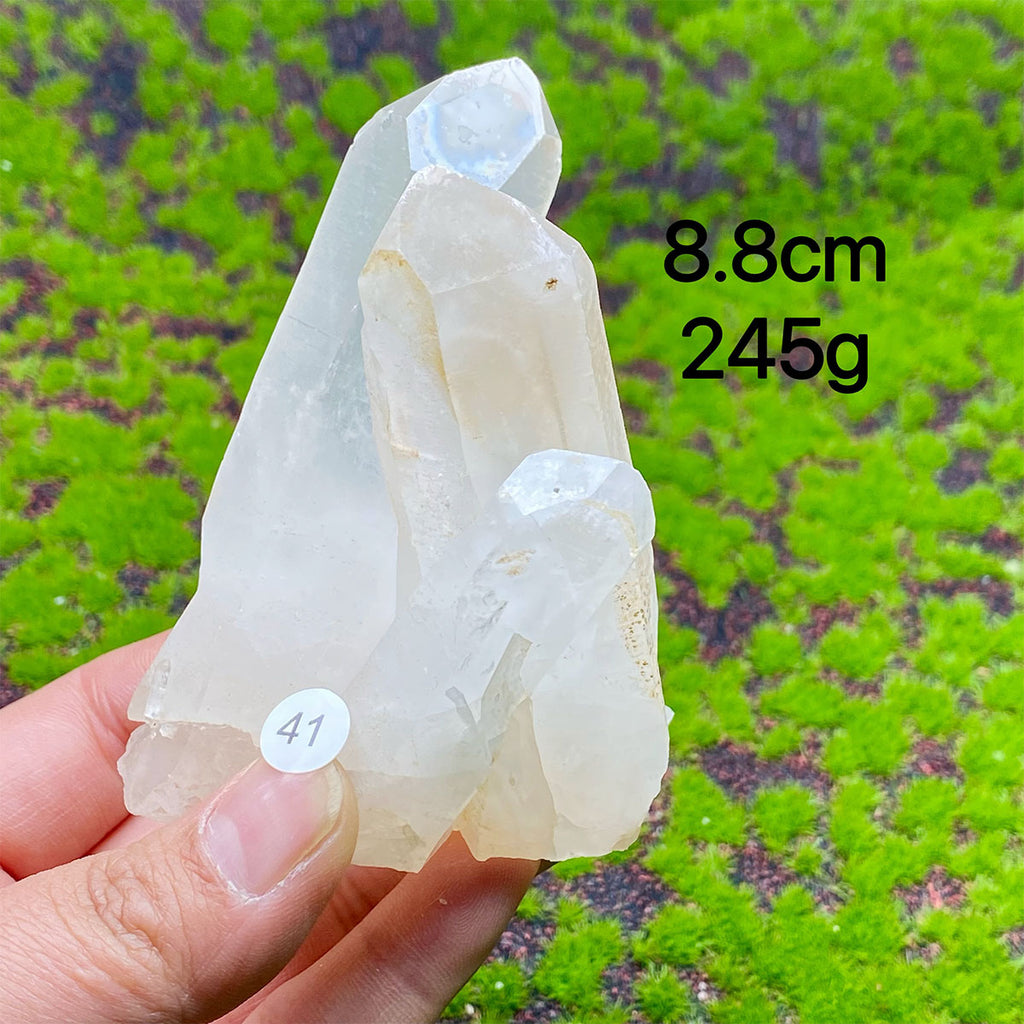 Clear Quartz Natural Crystal  Cluster