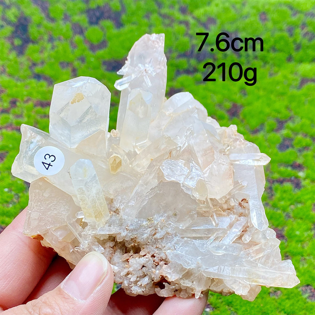 Clear Quartz Natural Crystal  Cluster