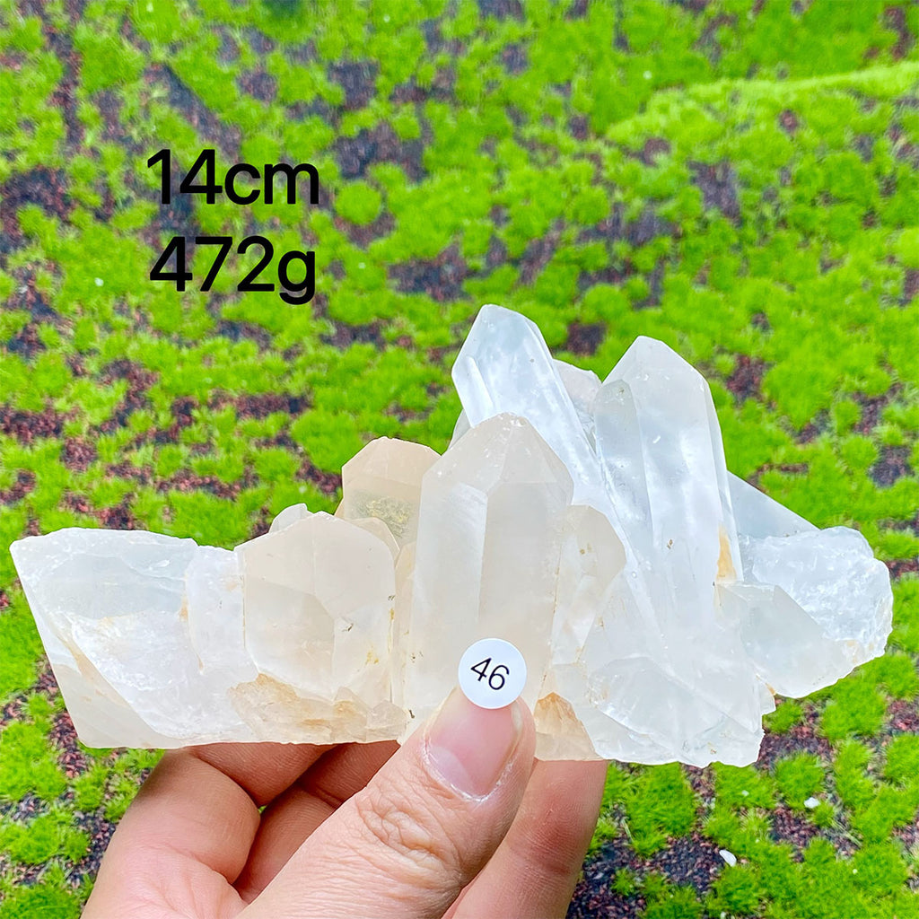 Clear Quartz Natural Crystal  Cluster