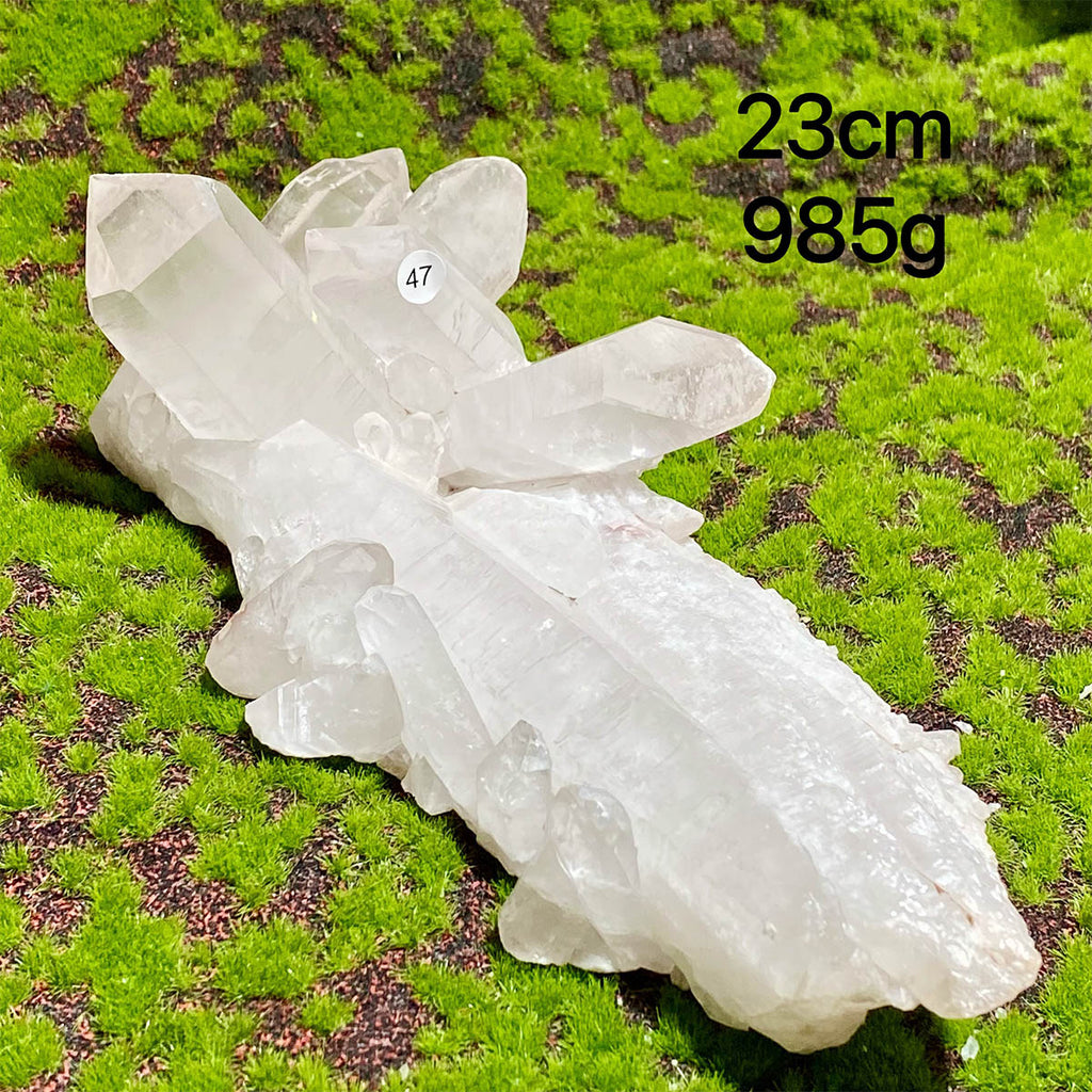 Clear Quartz Natural Crystal  Cluster