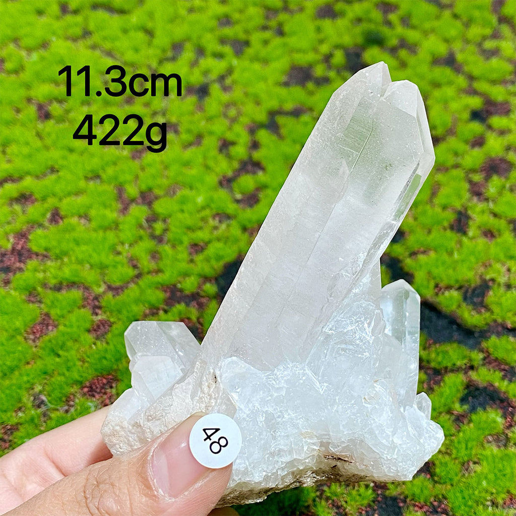 Clear Quartz Natural Crystal  Cluster