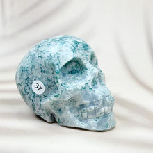 Load image into Gallery viewer, Green Moss Agate Carved Skulls Crystal Healing Energy Stone Crafts Halloween Home Decoration