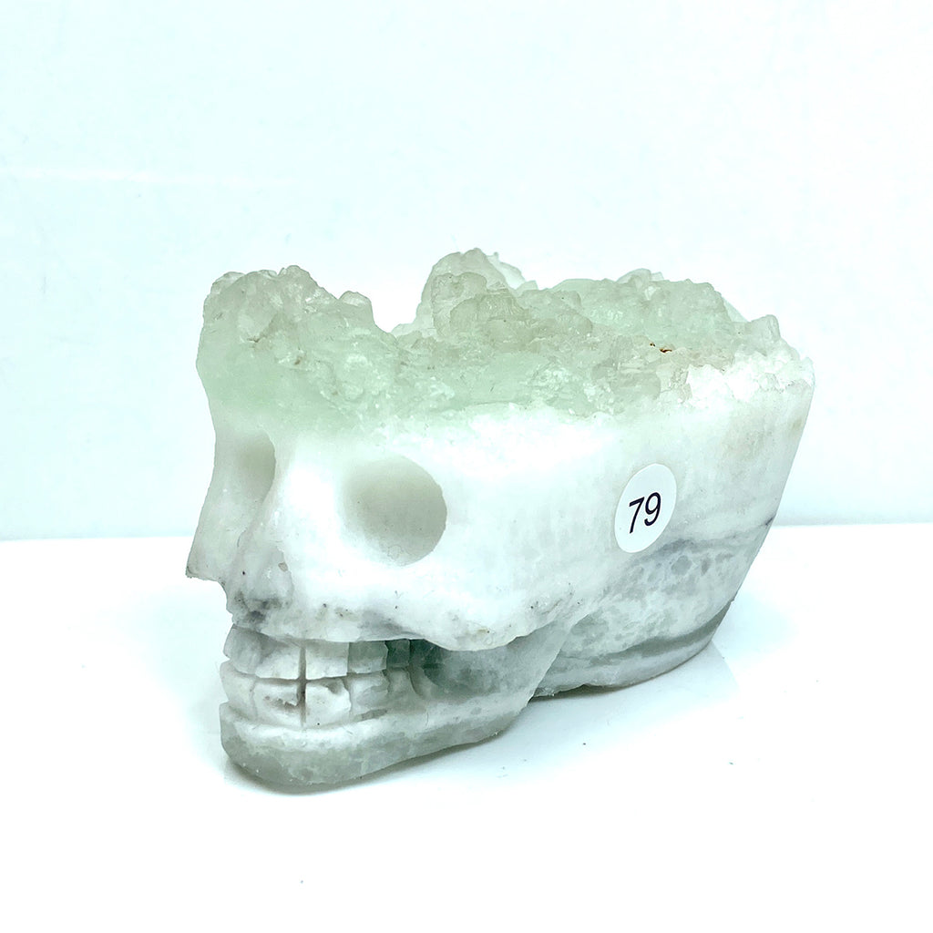 Fluorite Cluster Skull Hand Carved Crystal Energy Gemstone Reiki Healing Room Decoration