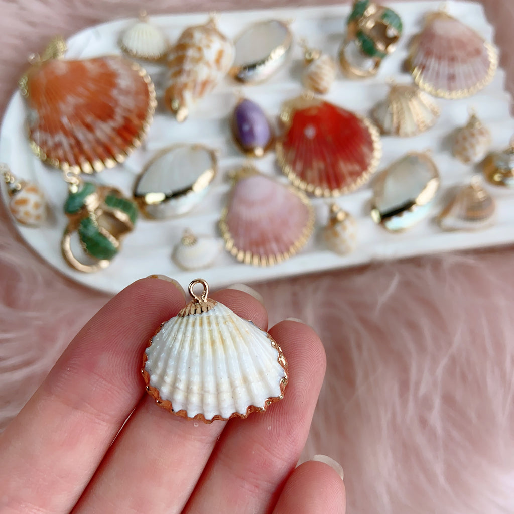 Nature Shell Pendants $10/8PCS