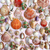 Nature Shell Pendants $10/8PCS