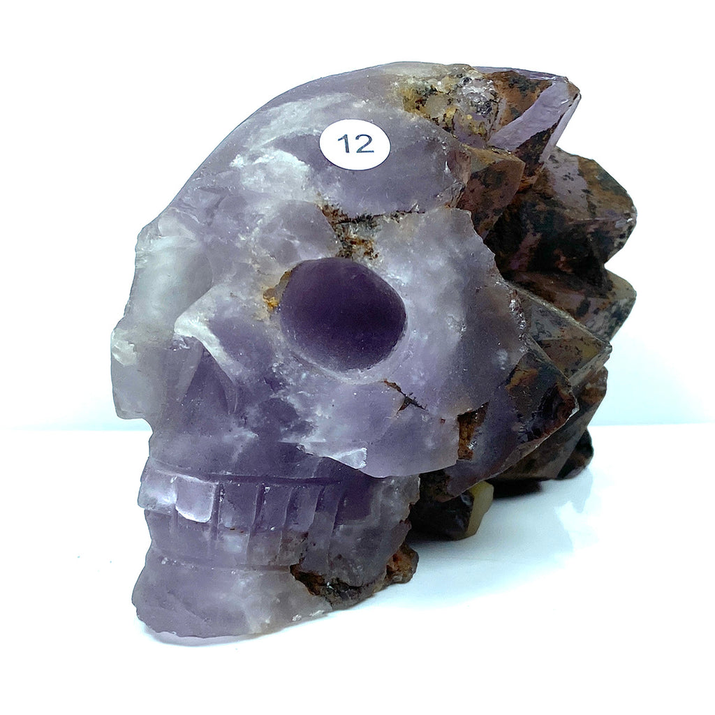 Amethyst Cluster Skull Carved Healing Living Minerals Gemstone Minerals Room Decoration