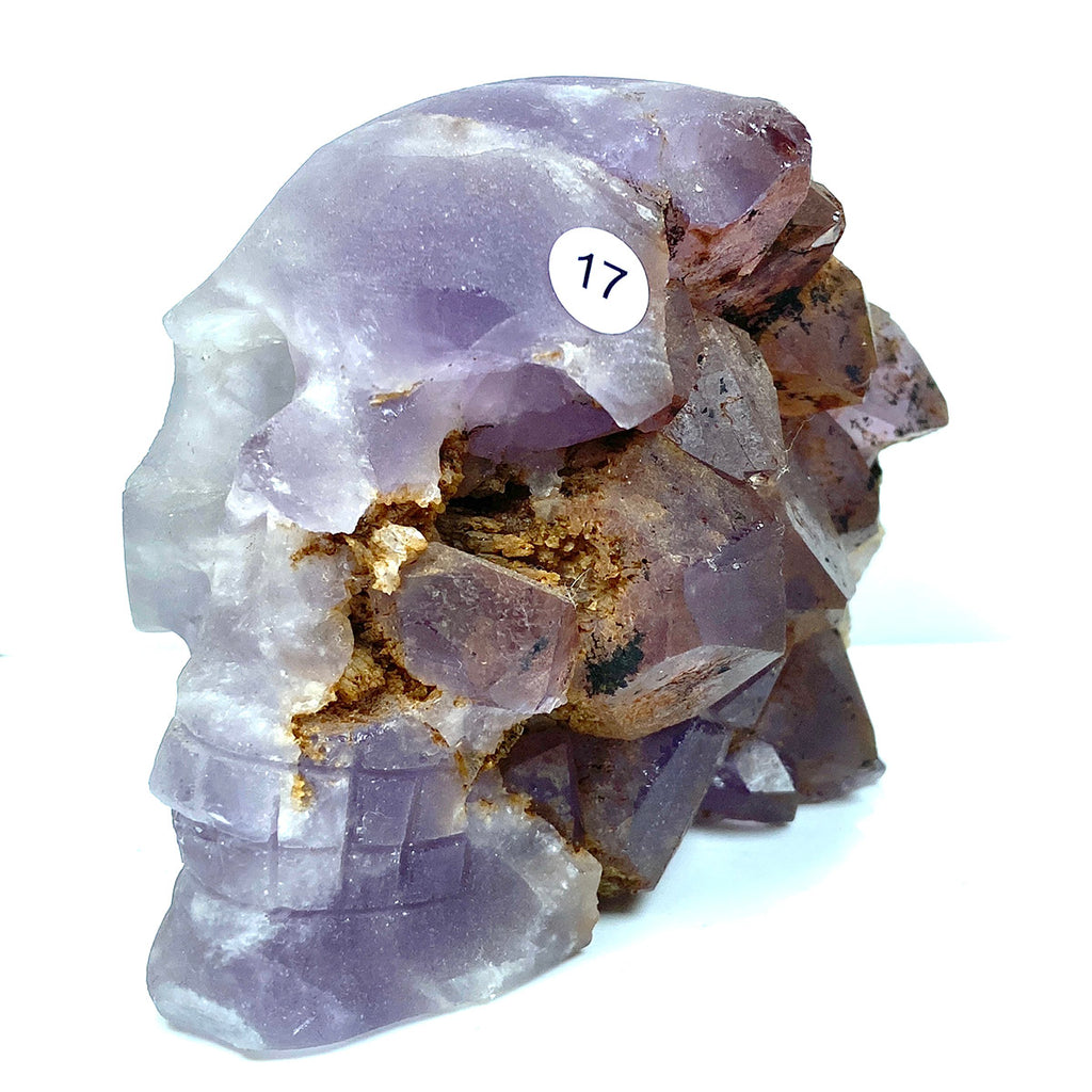 Amethyst Cluster Skull Carved Healing Living Minerals Gemstone Minerals Room Decoration