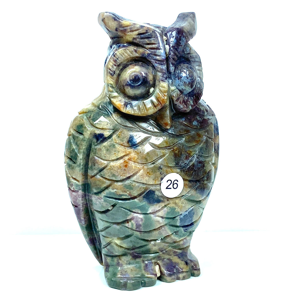 Ocean Jasper Wolf Elephant Owl Carving Crystal Animal Healing Energy Stone Fashion Home Decoration