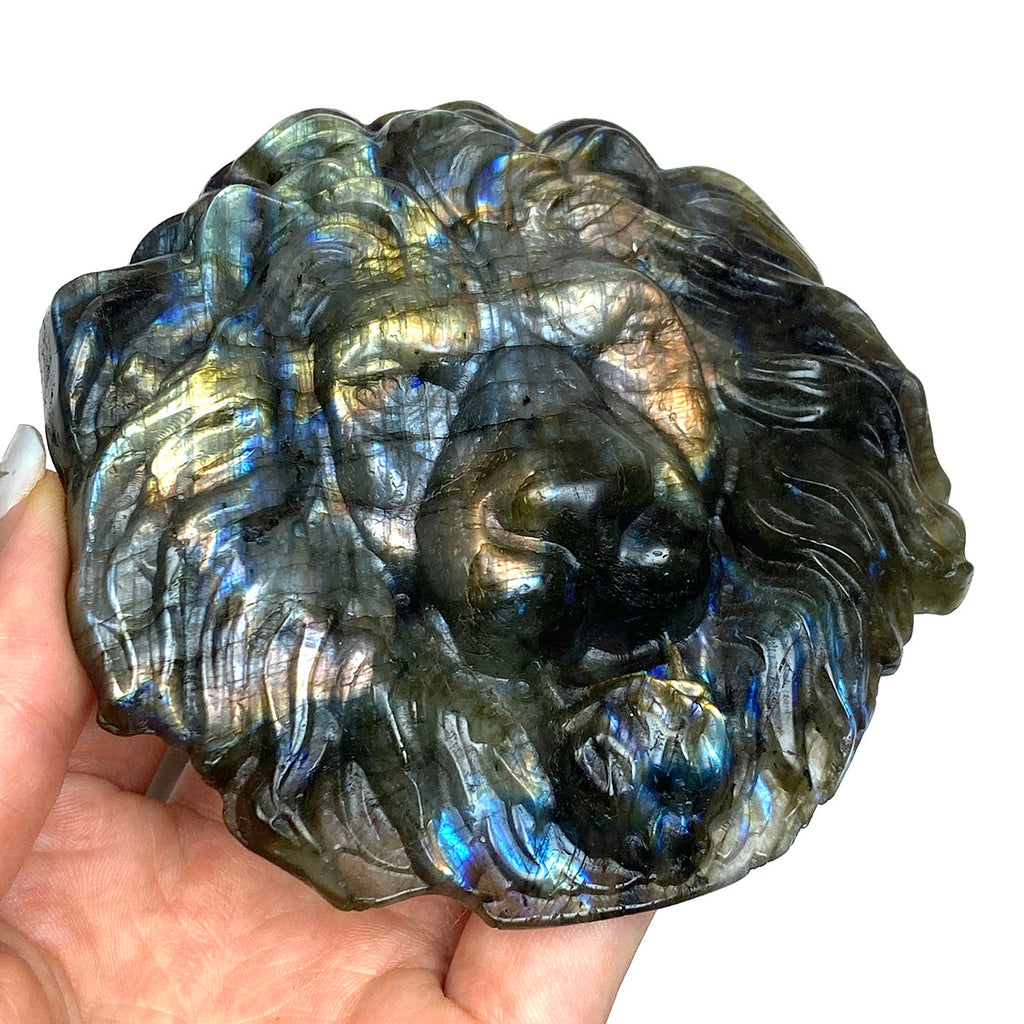 Labradorite Crystals Stone Carved Lion Animal Sculpture Healing Reiki flash gemstone Halloween Home Decoration