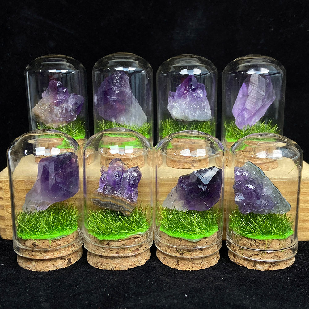 Small Size Amethyst Root & Cluster Collection