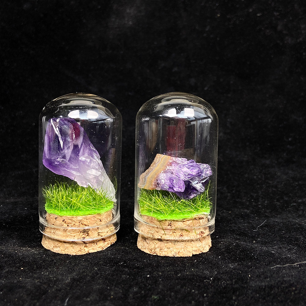 Small Size Amethyst Root & Cluster Collection