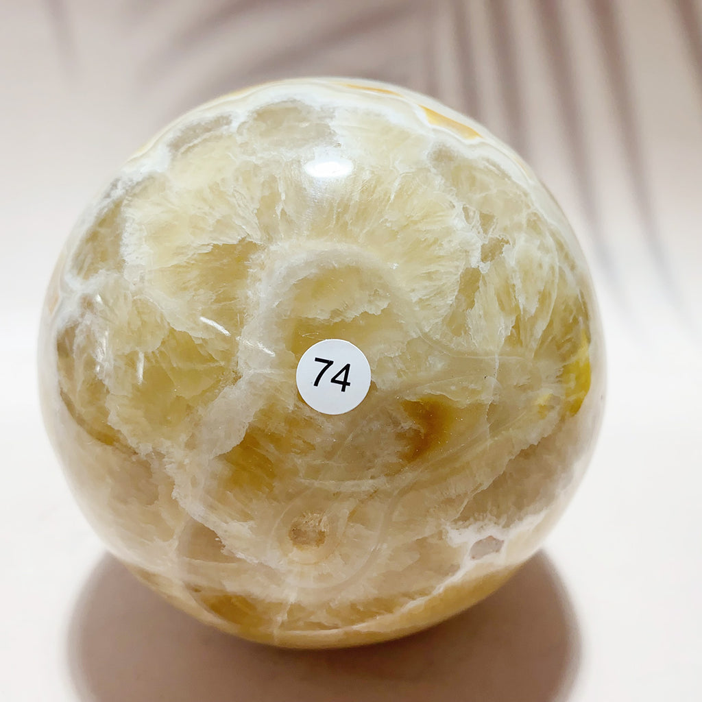 1PC Natural Yellow Jade  Mineral Sphere Healing Meditation Energy Gems Home Decor Crystal Crafts