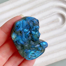 Load image into Gallery viewer, Labradorite Medusa Carvings