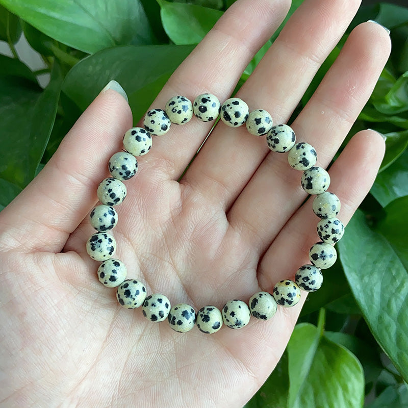 Spotted Bracelet $15/10PCS