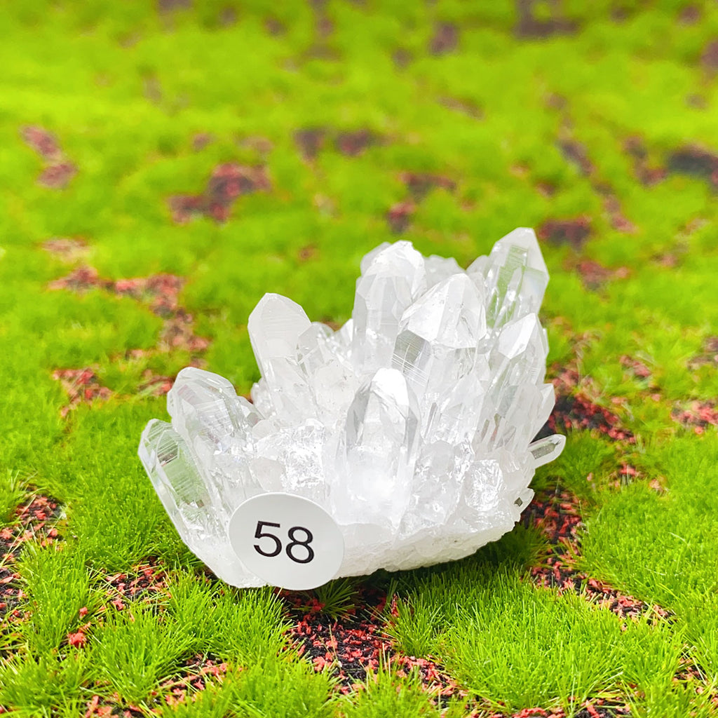 Natural Exquisite Clear Quartz White Crystal Cluster