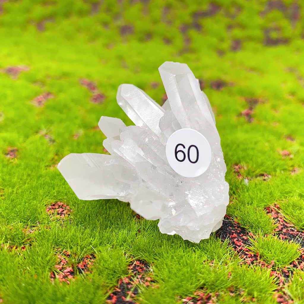 Natural Exquisite Clear Quartz White Crystal Cluster