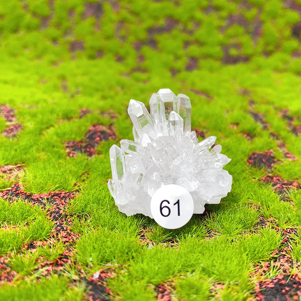 1PC Natural Exquisite White Crystal Cluster Healing Stones Crystal Mineral Specimen Home Decoration Raw Crystals Gift