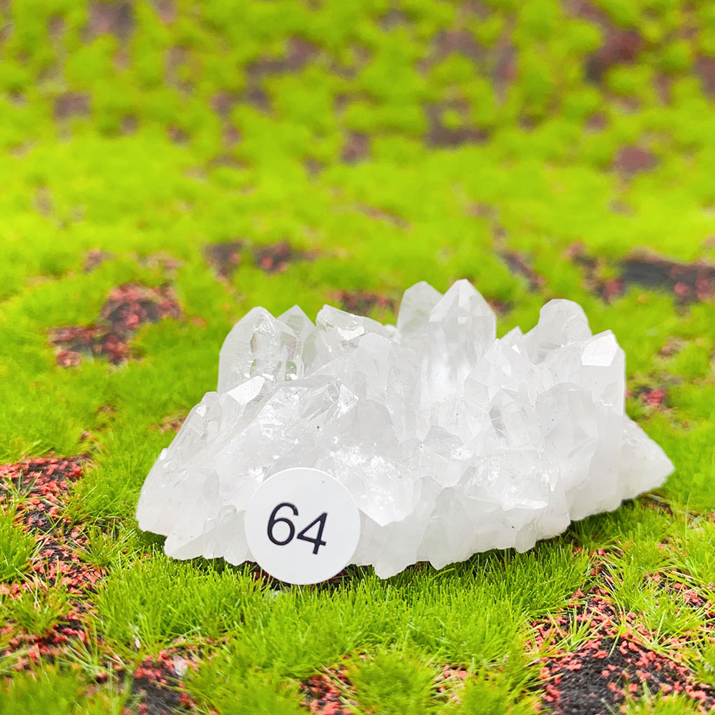 Natural Exquisite Clear Quartz White Crystal Cluster