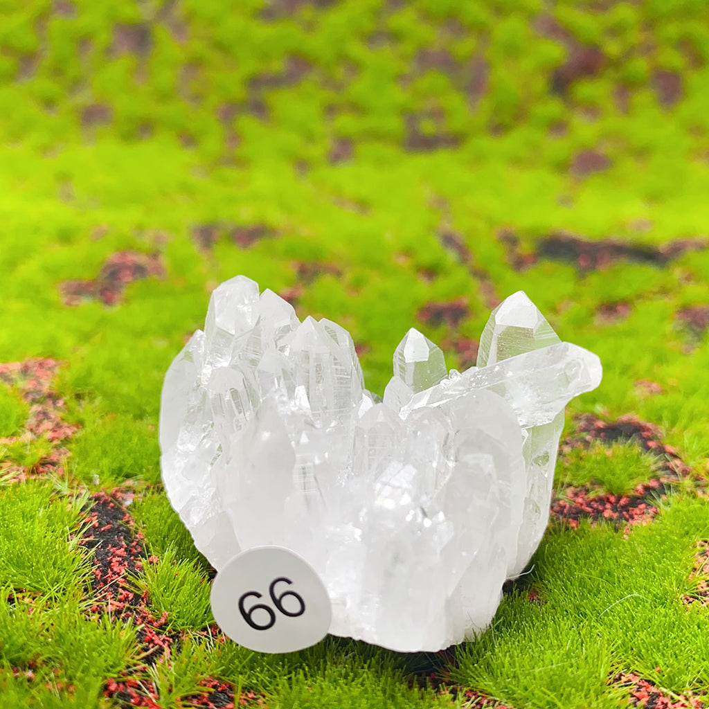 Natural Exquisite Clear Quartz White Crystal Cluster