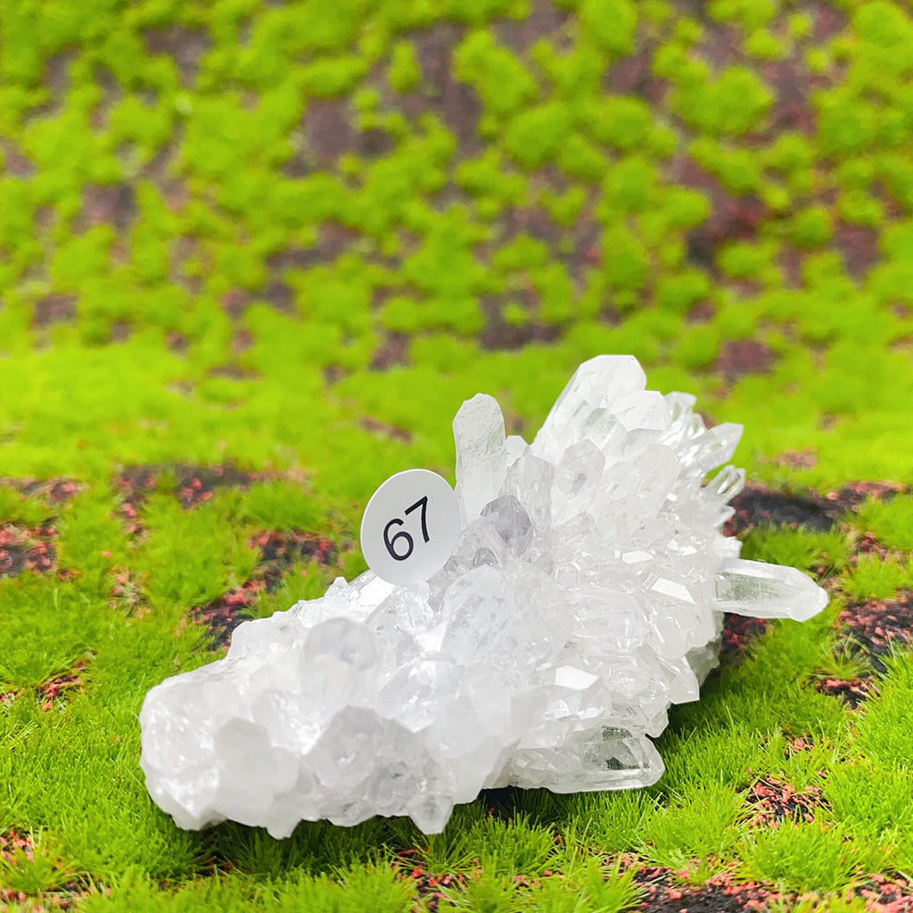 Natural Exquisite Clear Quartz White Crystal Cluster