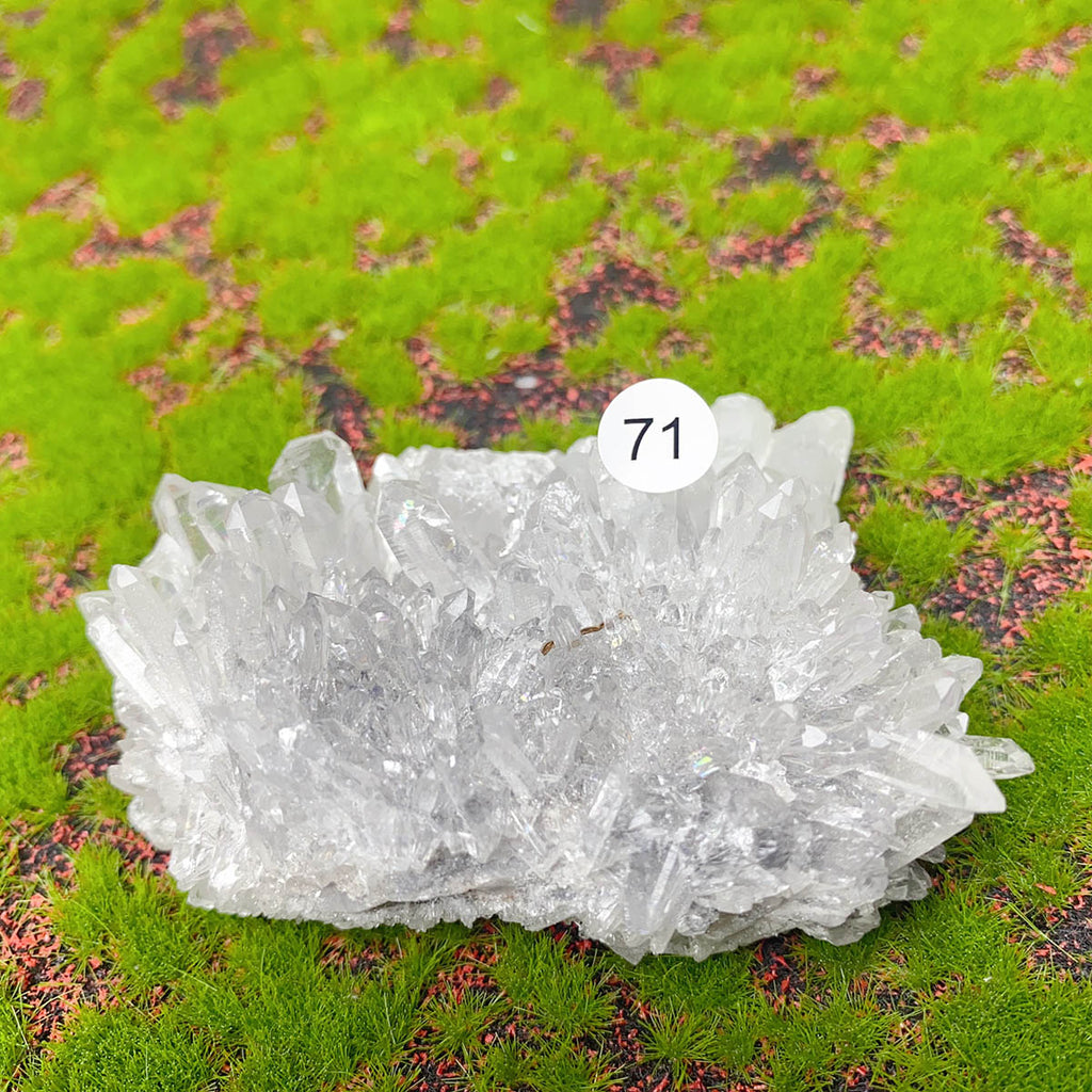 Natural Exquisite Clear Quartz White Crystal Cluster