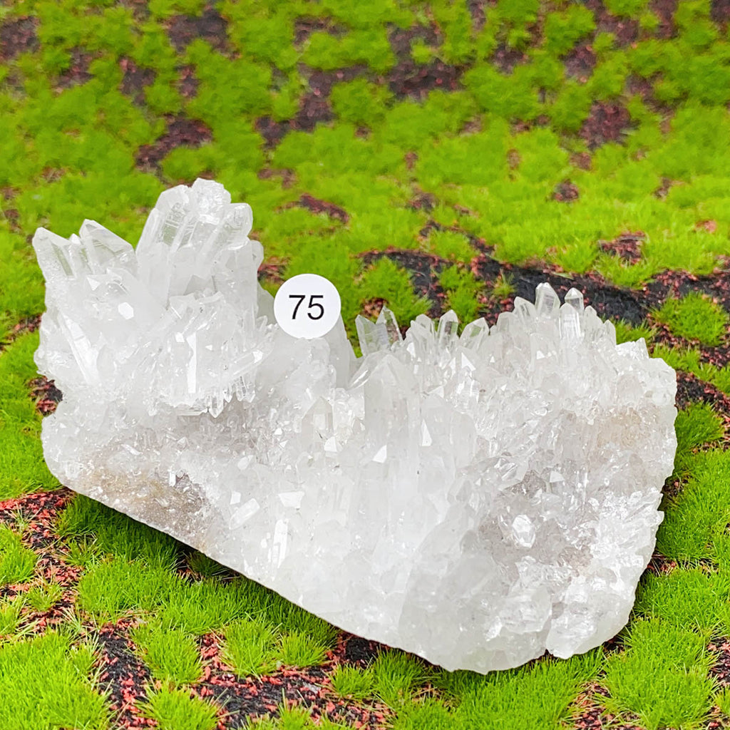 1PC Natural Exquisite White Crystal Cluster Healing Stones Crystal Mineral Specimen Home Decoration Raw Crystals Gift